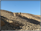 foto Castello di Shobak